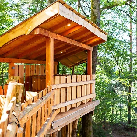 La Dans Les Arbres Du Domaine De La Forestiere Saint-Louis (Moselle)