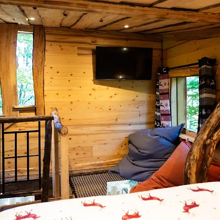 La Dans Les Arbres Du Domaine De La Forestiere