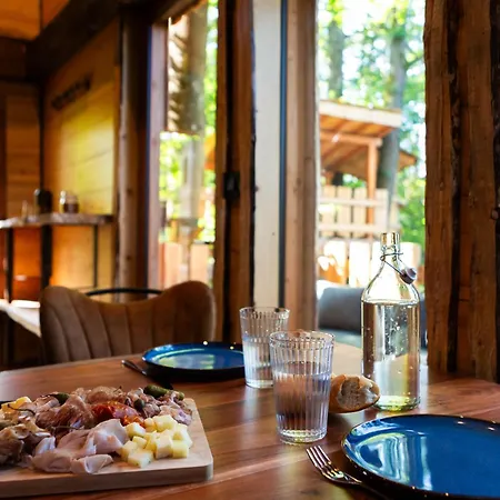 La Dans Les Arbres Du Domaine De La Forestiere