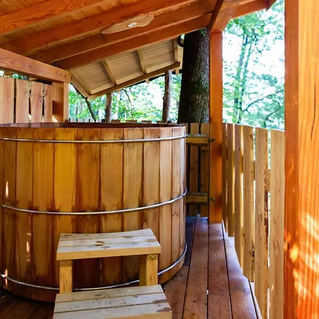 La Dans Les Arbres Du Domaine De La Forestiere Chalet