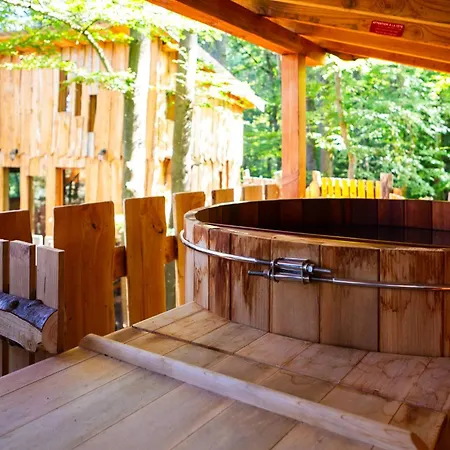 La Dans Les Arbres Du Domaine De La Forestiere *