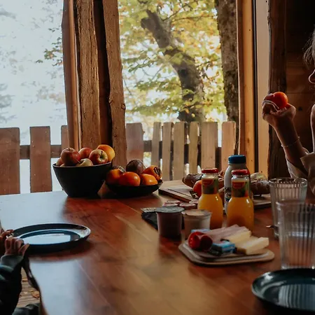 La Dans Les Arbres Du Domaine De La Forestiere *