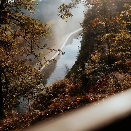 La Dans Les Arbres Du Domaine De La Forestiere 샬레 *