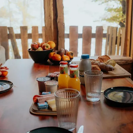 La Dans Les Arbres Du Domaine De La Forestiere * Saint-Louis (Moselle)