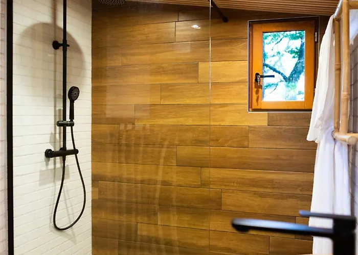 La Dans Les Arbres Du Domaine De La Forestiere