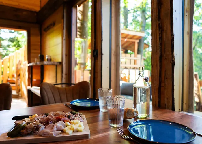 La Dans Les Arbres Du Domaine De La Forestiere