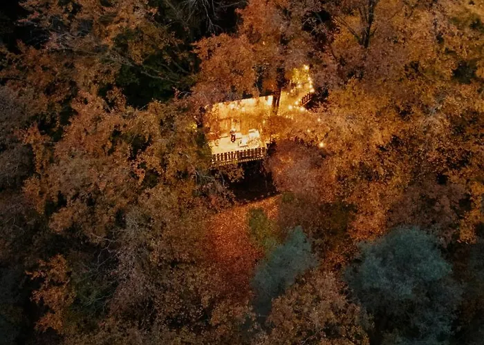 La Dans Les Arbres Du Domaine De La Forestiere シャレー *