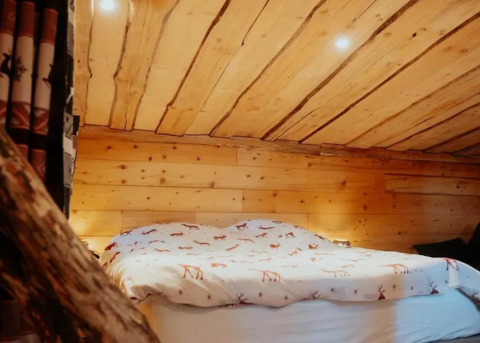 La Dans Les Arbres Du Domaine De La Forestiere シャレー Saint-Louis